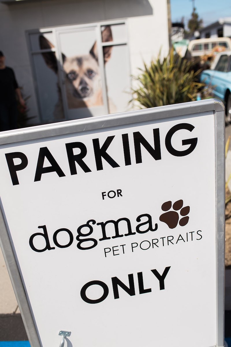 dogma dog store